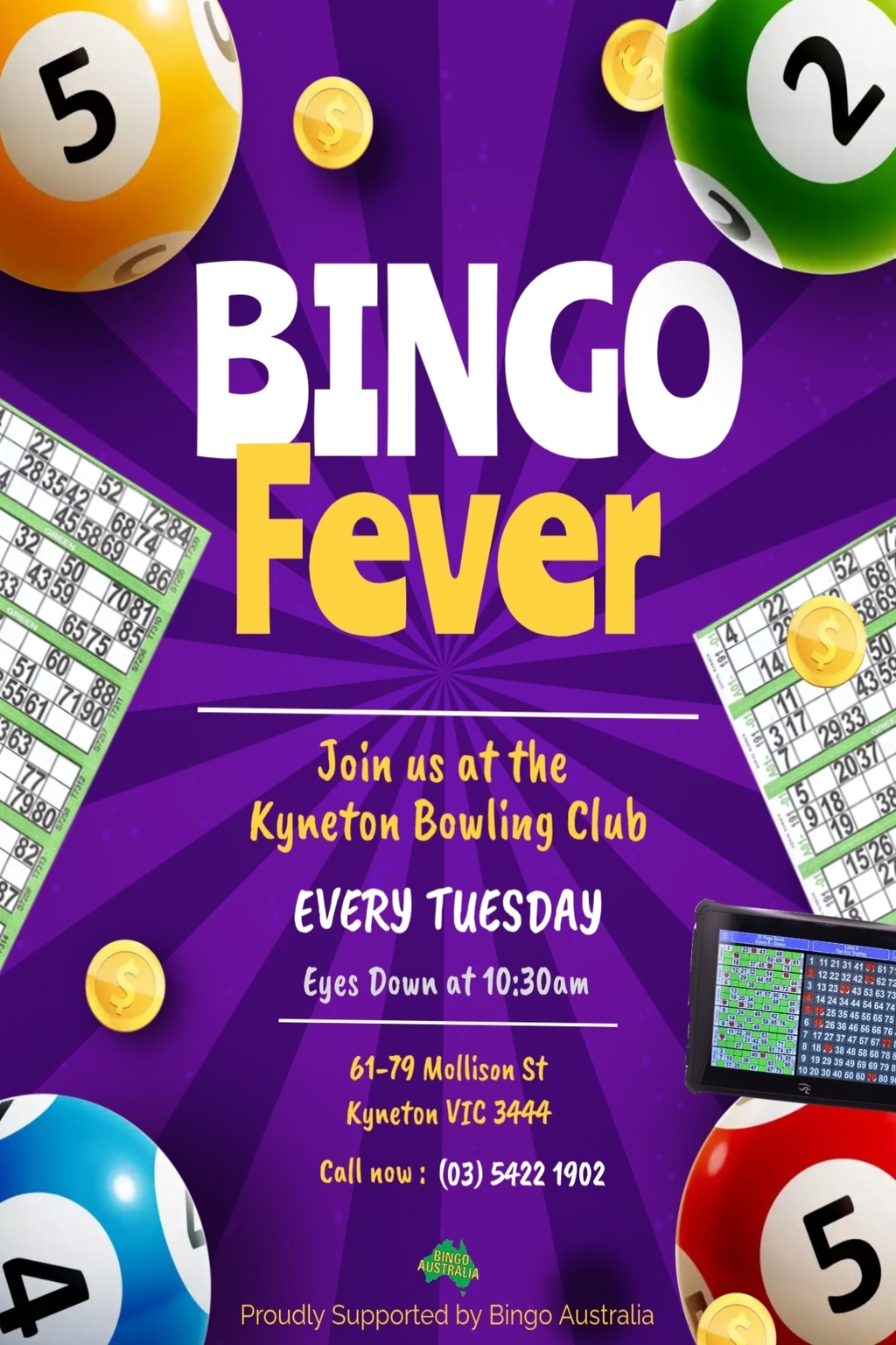 Bingo Fever